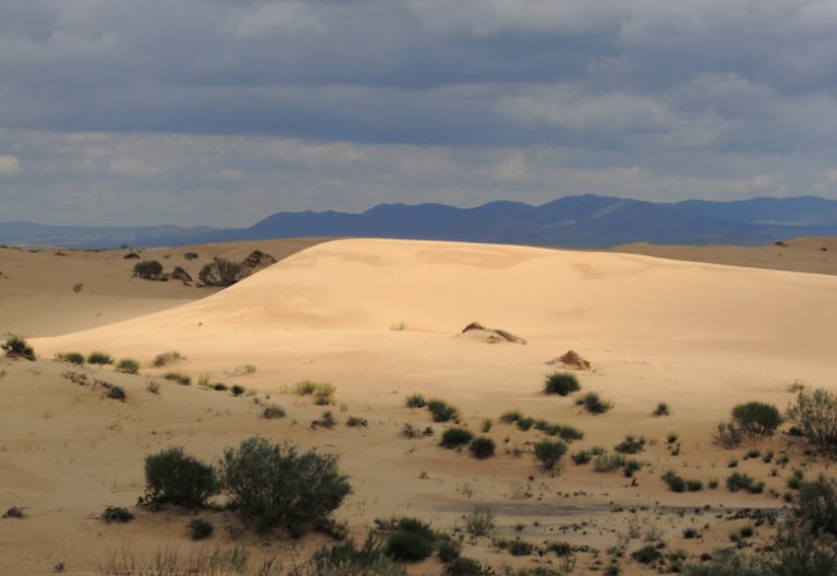 Understanding Average Annual Rainfall in the Sahara Desert