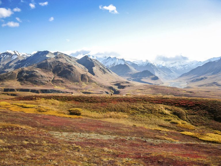 Exploring Tundra Landforms Understanding the Unique Features of Tundra Landscapes