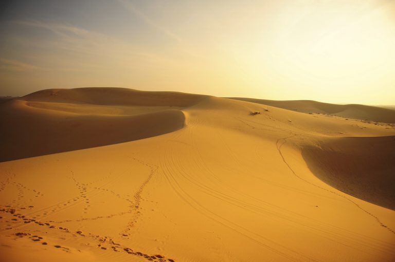 Exploring Four Nonliving Components of a Desert Ecosystem