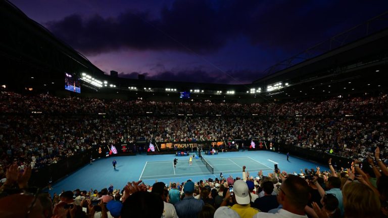 Tennis Community Split Over Controversial Djokovic Incident at AO