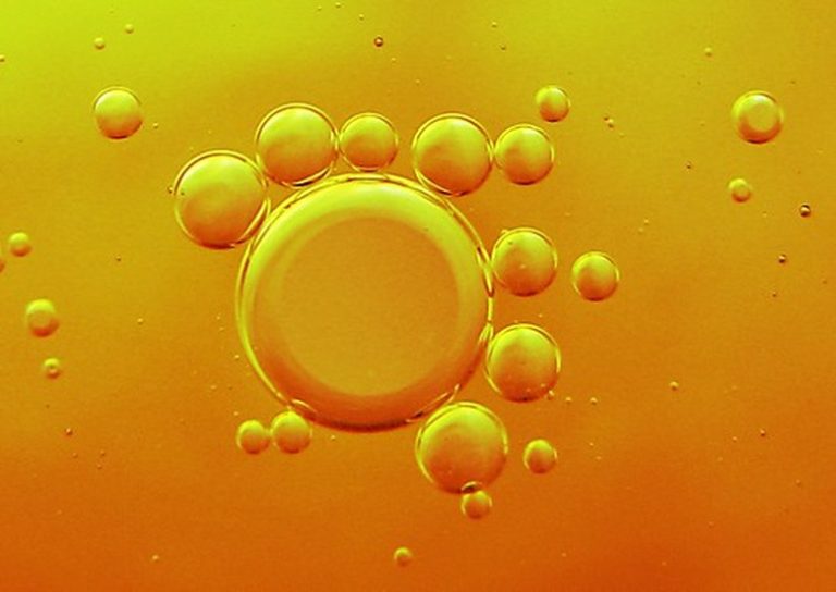 Understanding the Monomers of Triglycerides