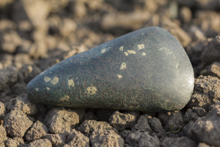 Collection of Neolithic Stone Tools