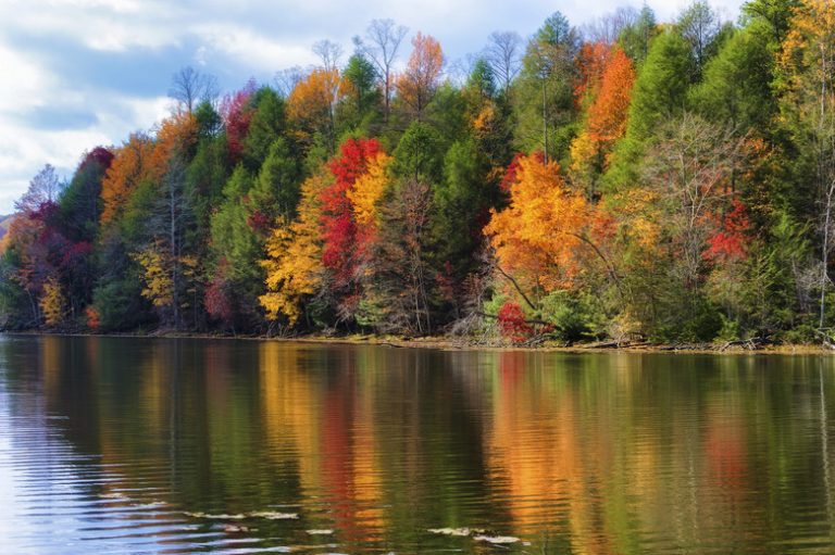 Abiotic Factors of the Freshwater Biome Sciencing