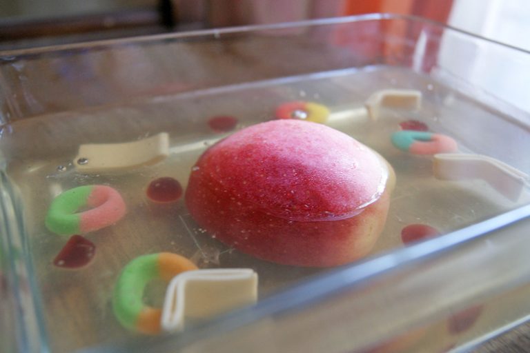 Guide to Creating a JELL-O Cell Instructions Included