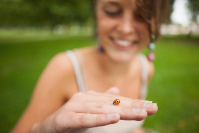 Understanding the Life Span of a Ladybug