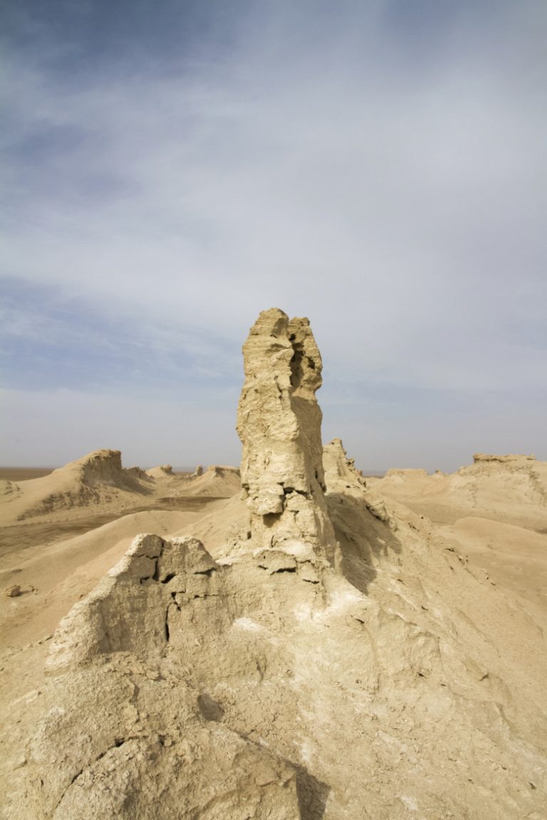 Flora and Fauna of Cold Desert Ecosystems