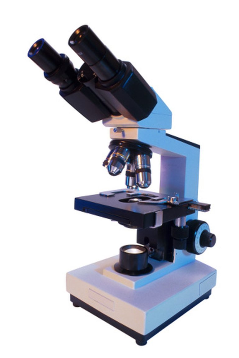 Components of a Microscope for Kids