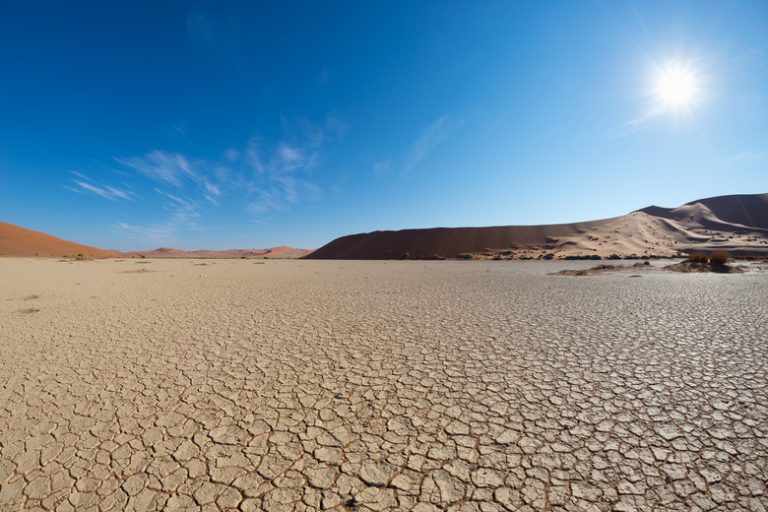 Understanding the Abiotic Components of Desert Ecosystems