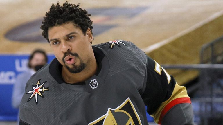 NHL's Ryan Reaves Suspended for Yanking Opponent's Hair