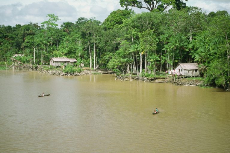 Exploring the Resources of the Amazon Rainforest