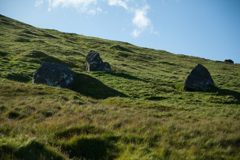 Climate Patterns in Temperate Grasslands Exploring Temperature and Precipitation