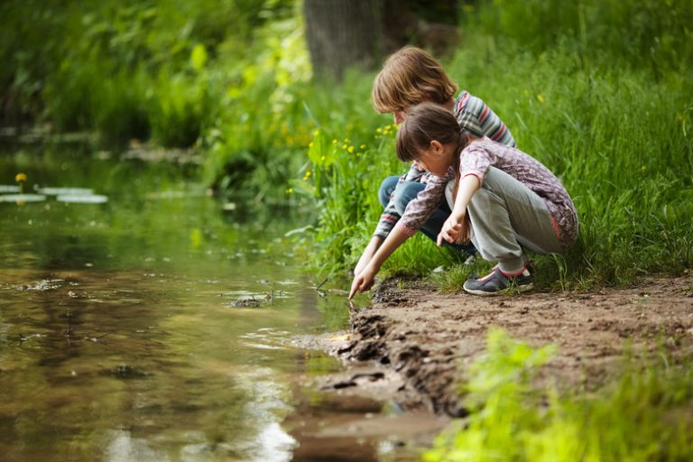 Lentic and Lotic Ecosystems Explained