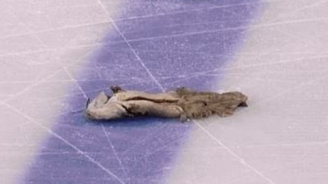 Stanley Cup Game 1: Catfish Tossed by Predators Fan Provokes Pittsburgh