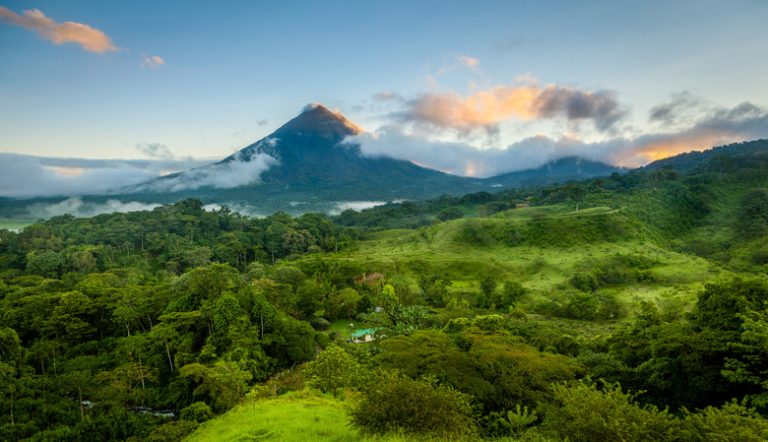 Flora and Fauna of the Central American Rainforest