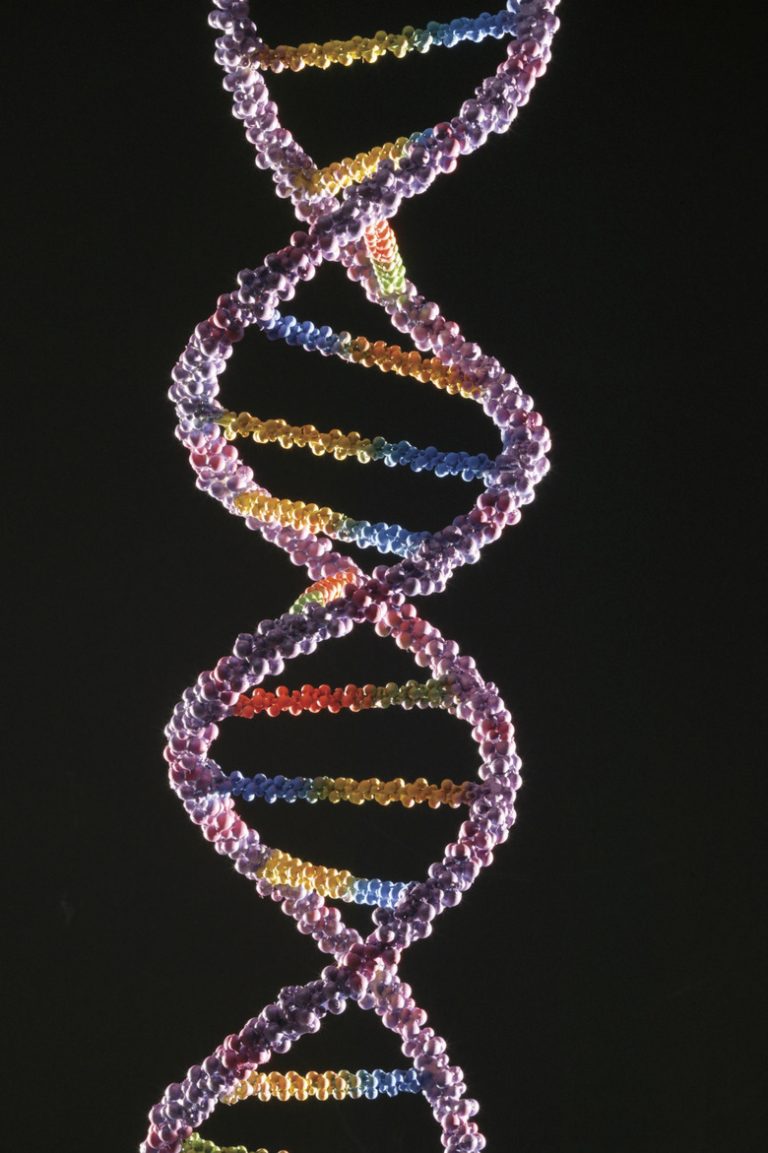 Identifying DNA Strand Nomenclature Understanding the Terminology of DNA Strands