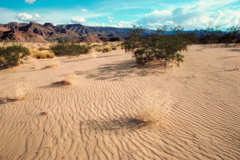 Understanding the Climate of the Mojave Desert