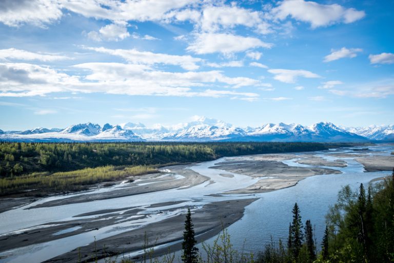 Biotic and Abiotic Factors in the Tundra