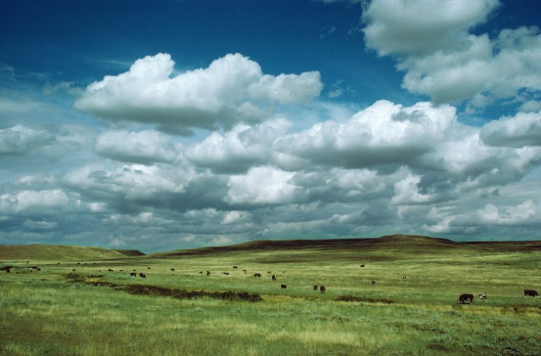 Climate Characteristics of the Grassland Ecosystem