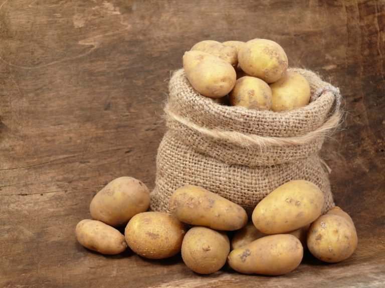 Understanding the Mechanics of a Potato Clock