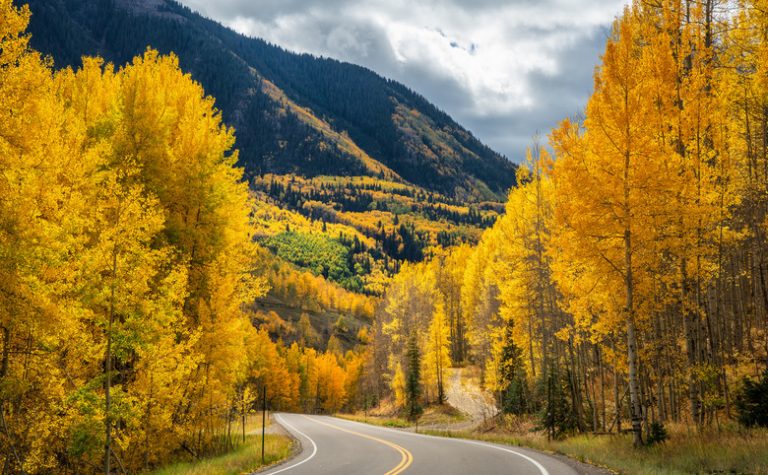 Understanding the Altitude Preferences of Aspen Trees