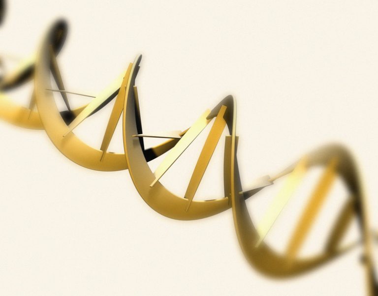 How to Label a DNA Structure