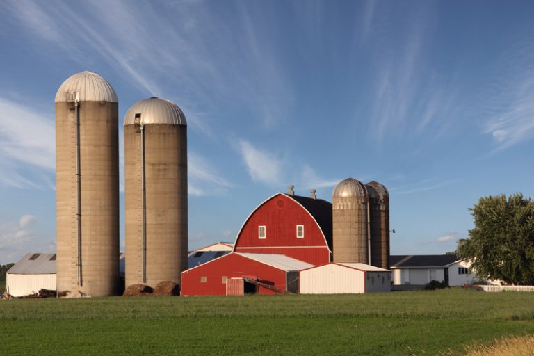 Understanding the Functionality of Grain Silos