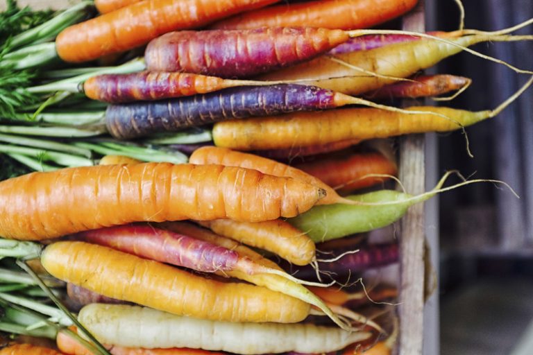 Exploring Underground Fruits and Vegetables