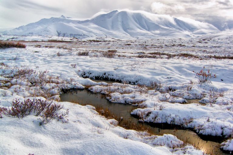 Which Biome Exhibits the Lowest Biodiversity?