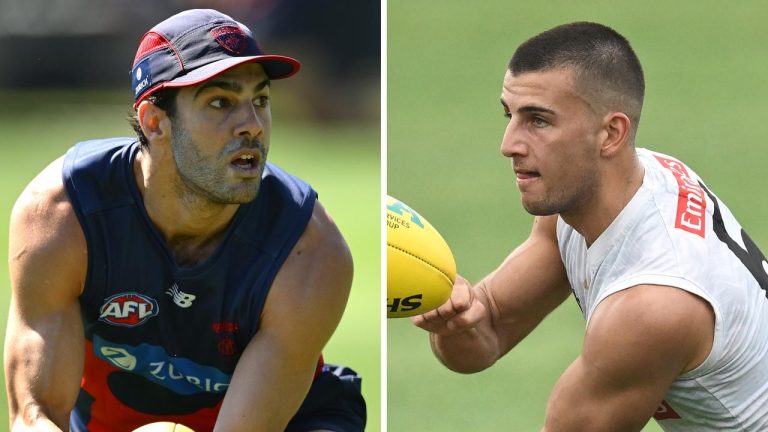 Demons Unveil Petracca's Harsh Pre-Season Setback Amid Rival's Injury