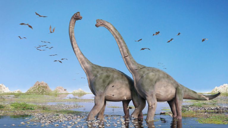 Exploring Different Types of Long-Necked Dinosaurs