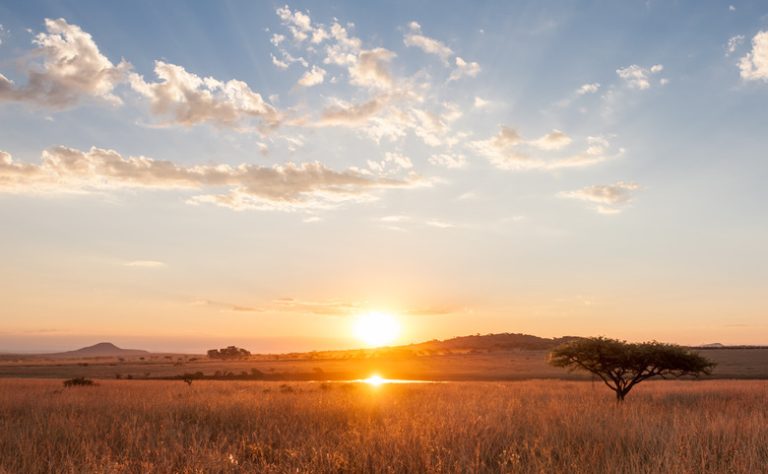 Dangers to the Savanna Ecosystem