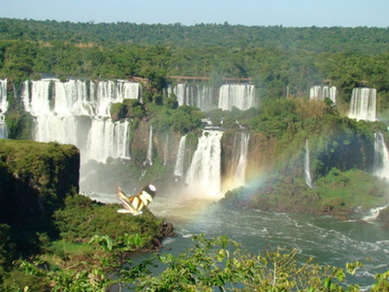 Exploring the Waterfalls of the Amazon Discovering Nature's Hidden Gems