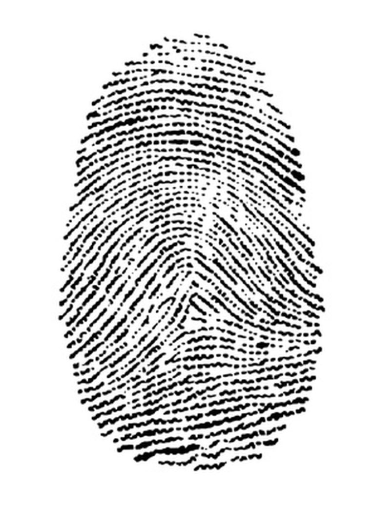 Guidelines for Conducting a Science Project on Fingerprints