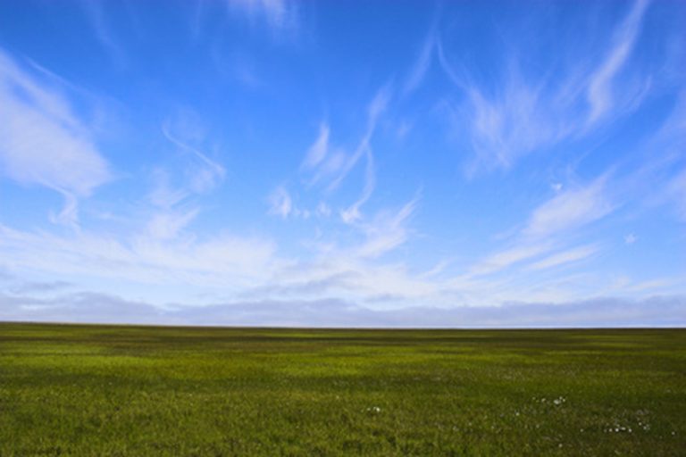 Exploring the Tundra Landscape