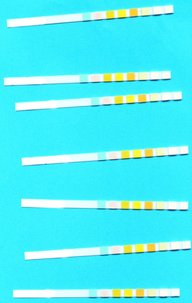 Measuring Acidity and Alkalinity Understanding pH Levels