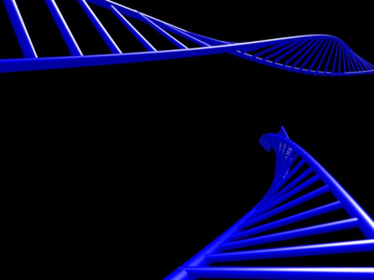 Creating a DNA Model Using Popsicle Sticks