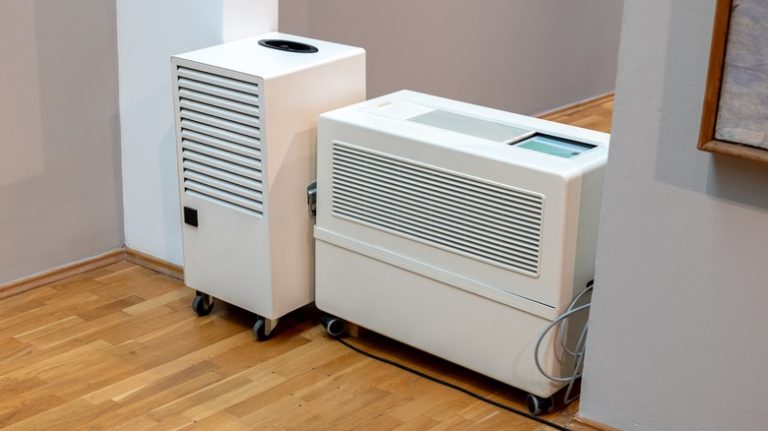 Understanding the Distinction Between Air Purifiers and Dehumidifiers: When to Use Each