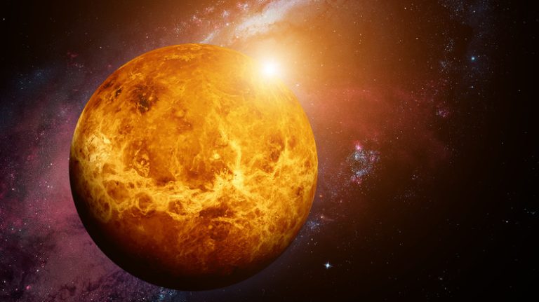 Venus’s Peculiar Moon Count: A Possible Influence from the Sun