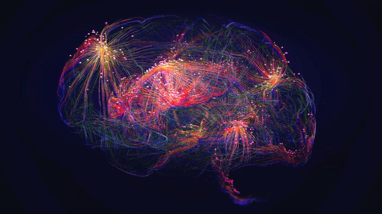 The Amazing Map Displaying Every Neuron in the Brain