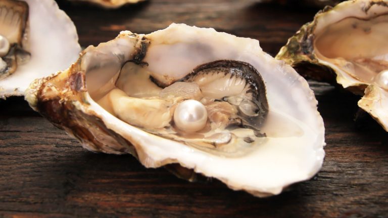 How Oysters Create Pearls and the Reasons Behind Their Color Variations