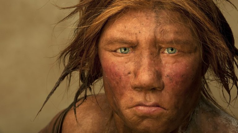 Neanderthals Are Not the Sole Extinct Species That Interbred with Humans