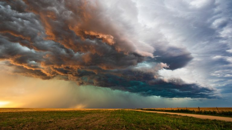 Understanding the Ability to Smell Rain Before It Arrives