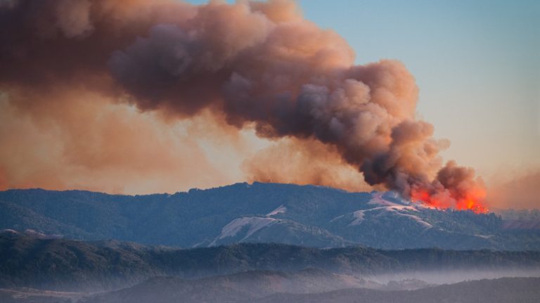 An Iconic Cartoon Character Is Partly Responsible for California's Devastating Wildfires