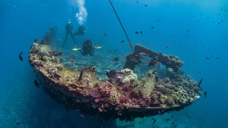 The Remarkable Scientific Finding Initially Misidentified as a Shipwreck