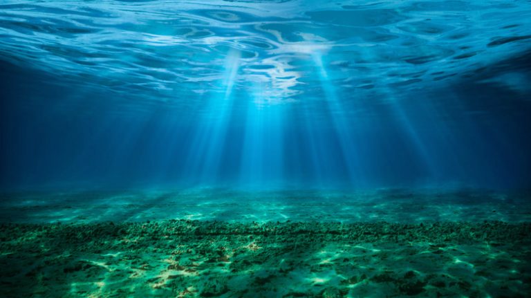 Earth's Oceans Are Changing: The Emergence of a Sixth Ocean