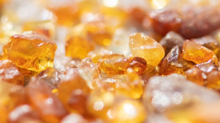 Discovering Amber in Antarctica Uncovers Evidence of a Warmer Ancient Climate