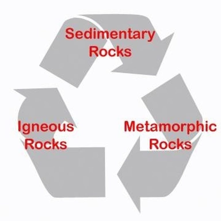 Understanding the Formation of Organic Sedimentary Rocks