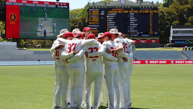 Peter Malinauskas Criticizes Adelaide Crows' Funding Request for Final